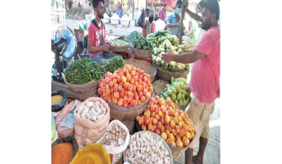 Bay leaf transaction increases  in Dhanusha