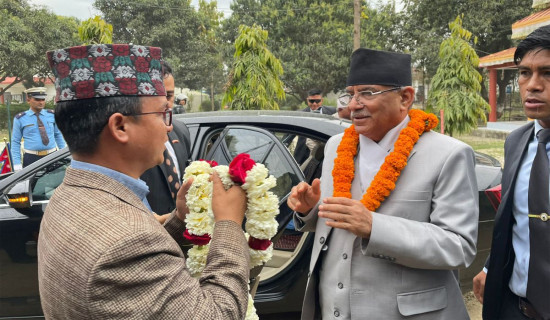 Government is working for basis of socialism: PM Prachanda
