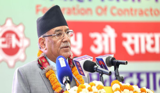 Additional liability added to State due to lack of quality work: PM Prachanda