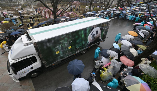 South Koreans bid emotional farewell to panda