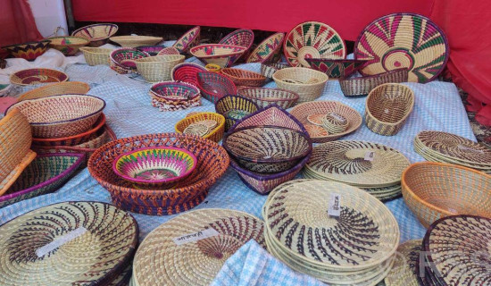 Handicraft becoming lucrative business for women in Dang