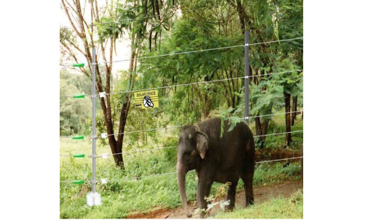 Solar fences handed over to check elephant rampage in Jhapa