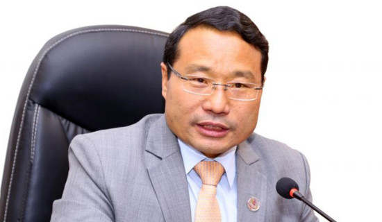 Minister invites investors to invest in Nepal's energy, tourism, IT, agriculture sectors