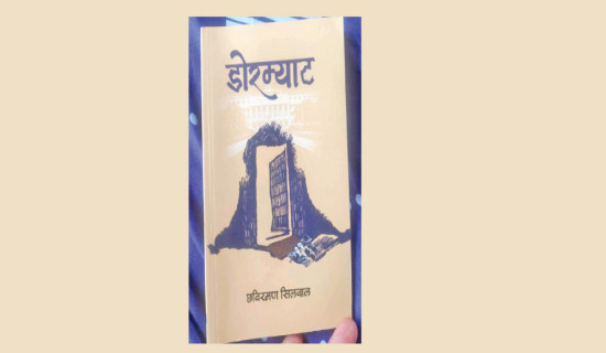 Chhabi Raman's 'Doormat' hits book stalls