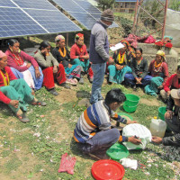 Simkot purchases 480 quintals of indigenous food crops to send to Kathmandu