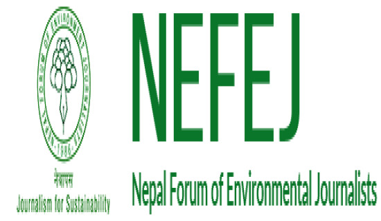 NEFEJ calls for controlling forest fires and prompt distribution of relief to the affected