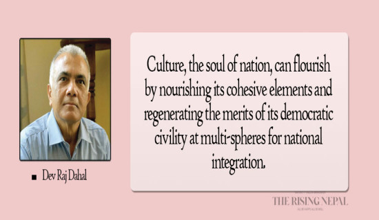 Culture Key To Spurring National Integration