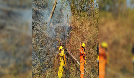 About 700 hectares of forest area in Dolakha catches fire