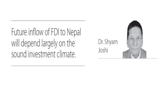 Pursue FDI Pledges For Optimum Results
