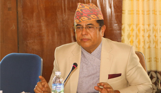 President approves economic expert Nepal's resignation