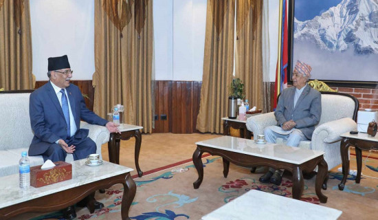 President Paudel and Prime Minister Prachanda meet