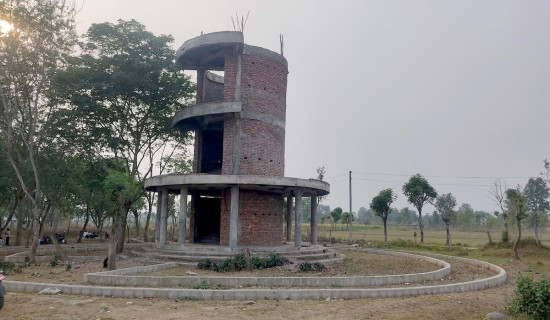 View Tower construction stranded in Nawalpur