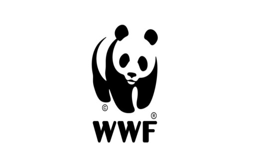WWF presents Abraham Conservation Award to Himali Samrakshyan Munch