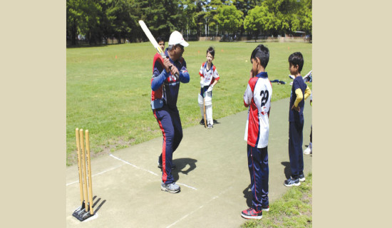 Once a popular pastime in America, cricket is returning for the Twenty20 World Cup