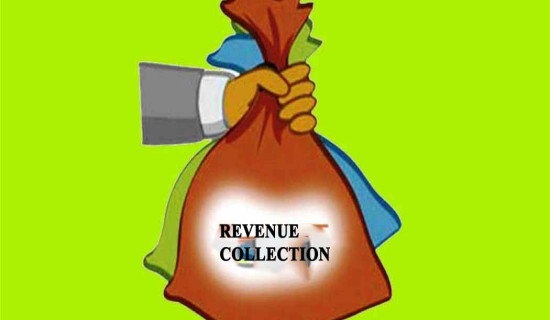 Bhadrapur municipality collects Rs 48.66 million in revenue
