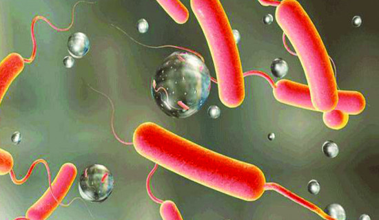 Two more persons test positive for cholera in Kathmandu