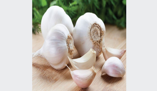 Garlic worth Rs. 3.6 million sold from single ward