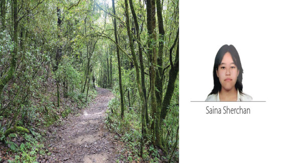 A Sweet And Sour Hike On Shivapuri Trail 