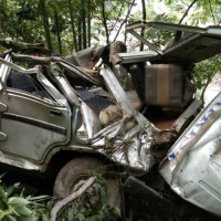 Tiger attacks in Banke-Bardiya: 29 people killed in 5 years