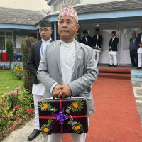 DPM Shrestha bats for climate justice
