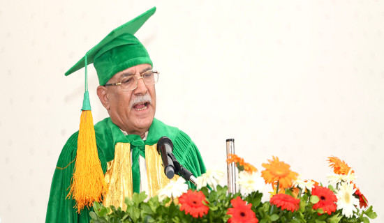 Let us give emphasis on quality education: PM Prachanda