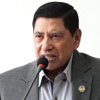DPM Shrestha bats for climate justice