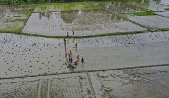 Climate change makes India’s monsoons erratic
