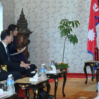President Paudel and his German counterpart discuss Nepal-Germany relations