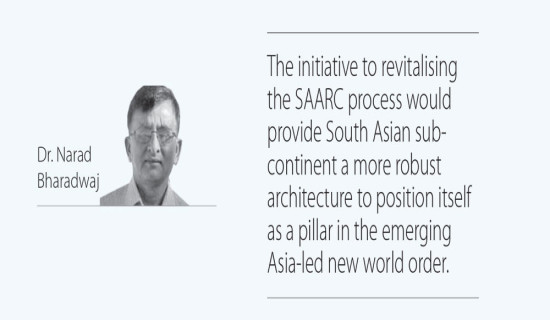 Why Should SAARC Be Revitalised