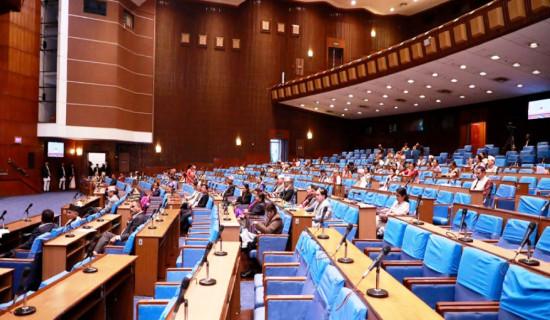 Lawmakers draw govt's attention on contemporary issues
