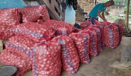 Farmers in Ilam make good incomes from onion farming