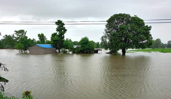 200 flood-displaced families of Kanchanpur return to their homes