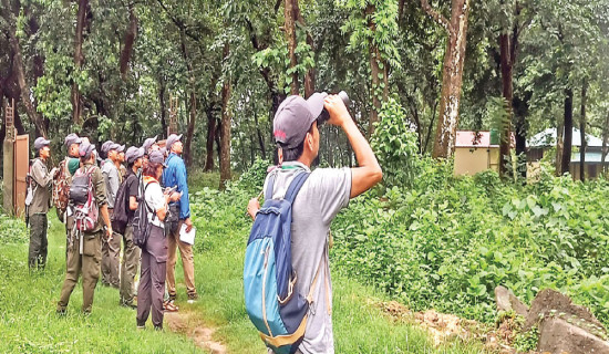 Taskforce formed to study Chitwan incident
