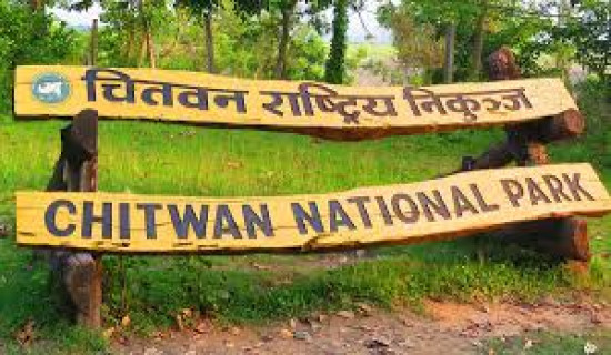 Tourist arrival up in Chitwan National Park