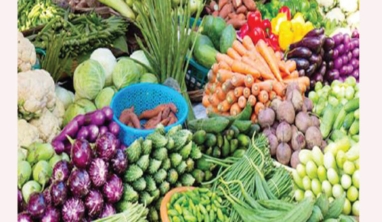 Qatar-returnee Pun cultivates vegetables even as ward member