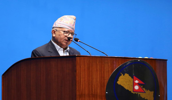 Common resolution must for boosting democracy: Chair Nepal