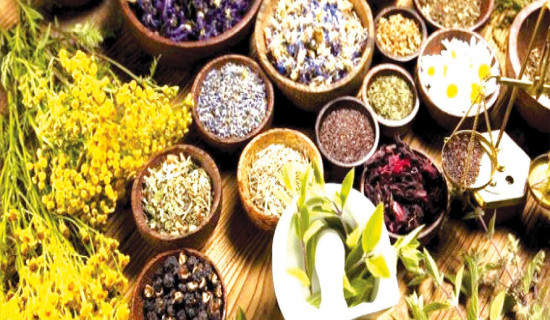 Herbs worth Rs 81 million exported via Kakadbhitta in last fiscal year
