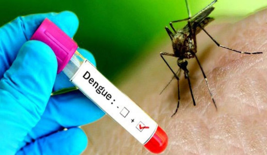 Dengue spreads in 73 districts, highest in Kathmandu