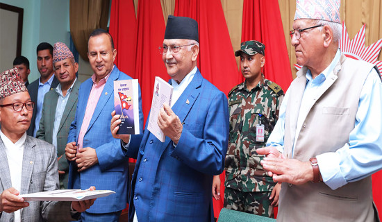 Nepal fosters literature, arts: PM Oli