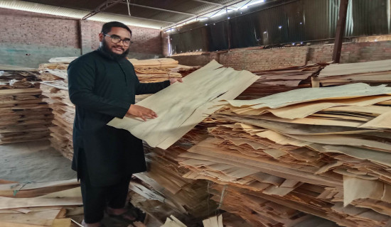 Plywood and veneer worth Rs 3 bln exported to India in FY 2023/24