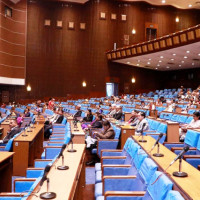 Thapa elected Chair of Parliamentary Agriculture Committee