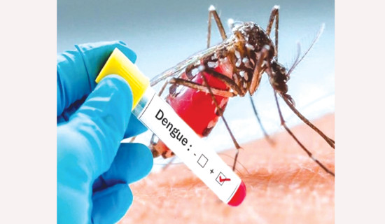 Over 2,000 dengue cases recorded across the country
