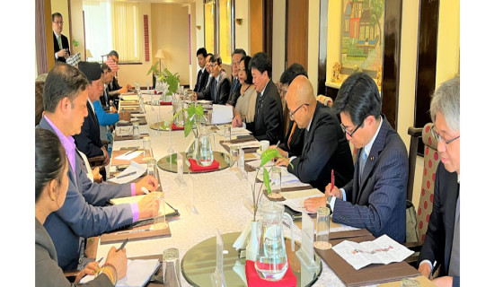 Members of Japanese House hold discussions on various aspects of Japan-Nepal relations