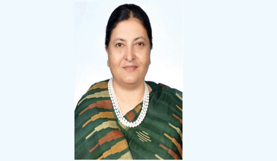 Future generations should take inspiration from Tulsilal: Former President Bhandari