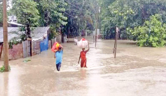 Auto Rickshaw washed away by floods, driver rescued