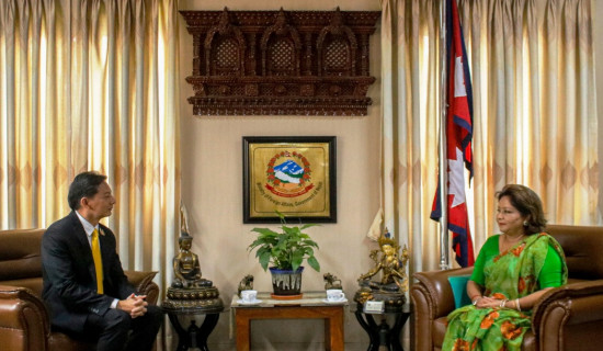Thai ambassador calls on Foreign Minister Dr Rana