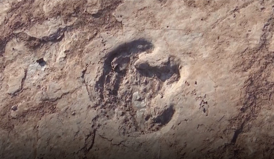 Small dinosaur footprints found in northwest China