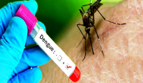 Dengue, Cholera cases on rise