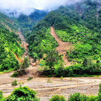 China renews yellow alert for rainstorms