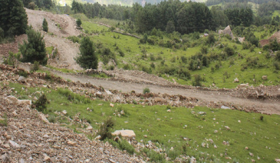 Kalikot farmers busy picking apples